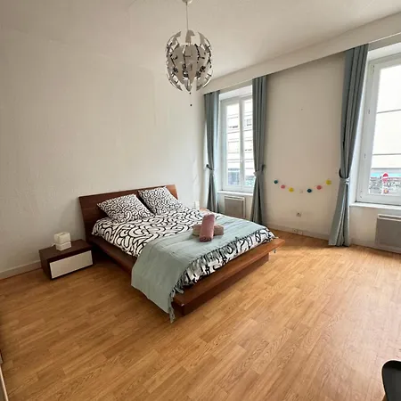 Le Stanislas Confort A - Centre - Apartment Colmar