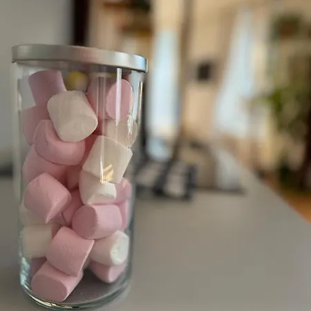 Le Stanislas Confort A - Centre - * Colmar