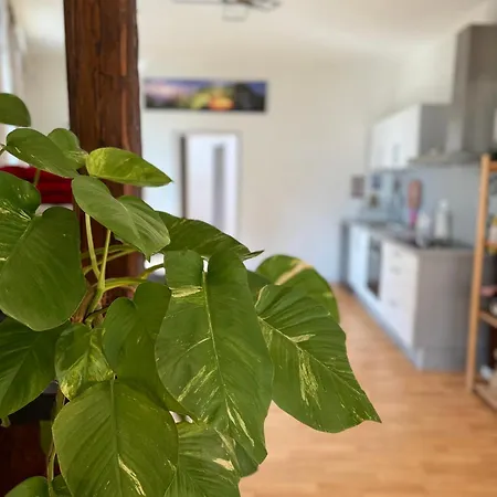 Apartman Le Stanislas Confort A - Centre - Colmar